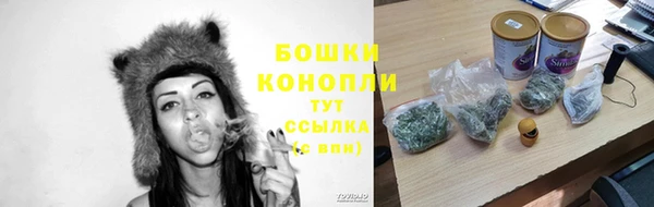 сатива Белокуриха