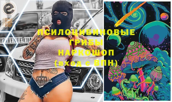 сатива Белокуриха