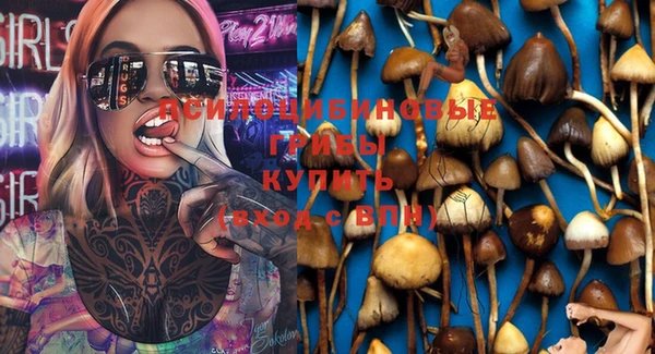 МДПВ Кострома