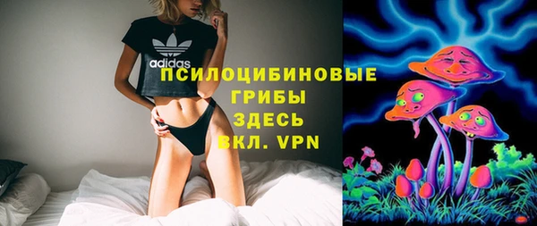 соль курить ск Богородск