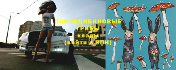 дживик Белоозёрский