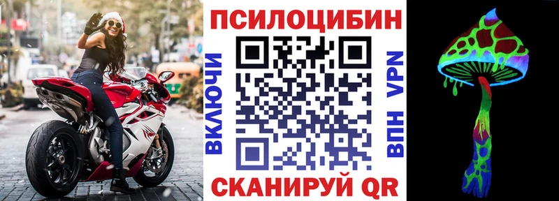 Псилоцибиновые грибы Psilocybe  даркнет сайт  Гороховец 
